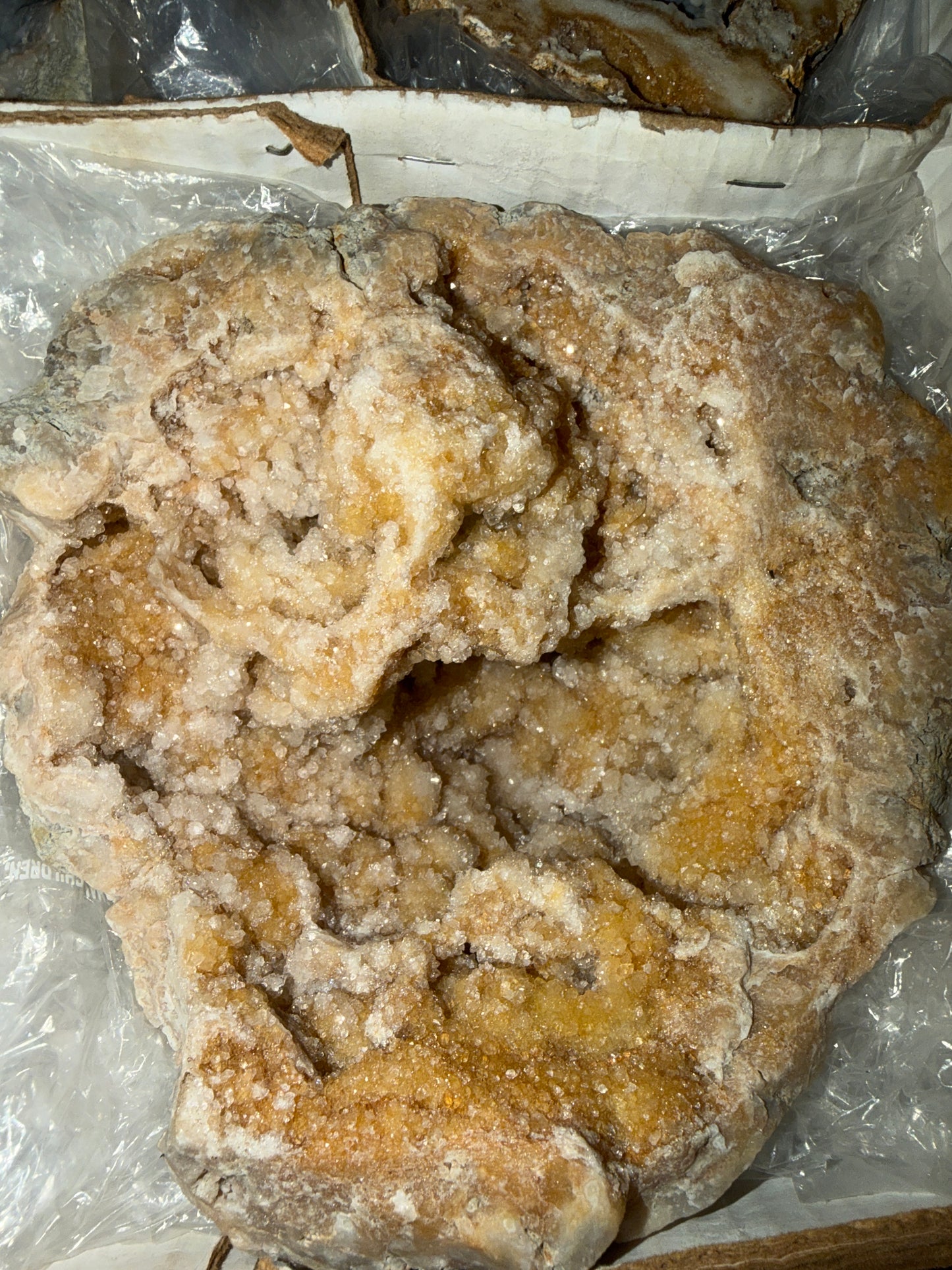 50 dollar crack