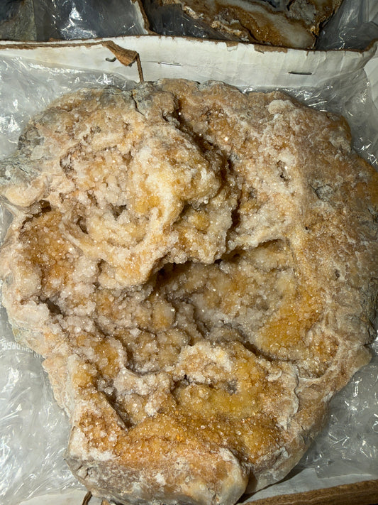 50 dollar crack