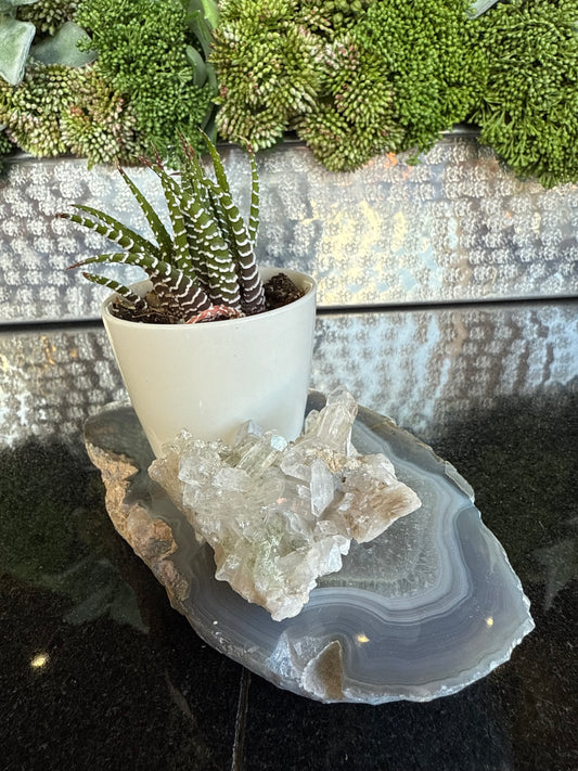 Elegant Home Design 12 - Crystal Display Kit (D)