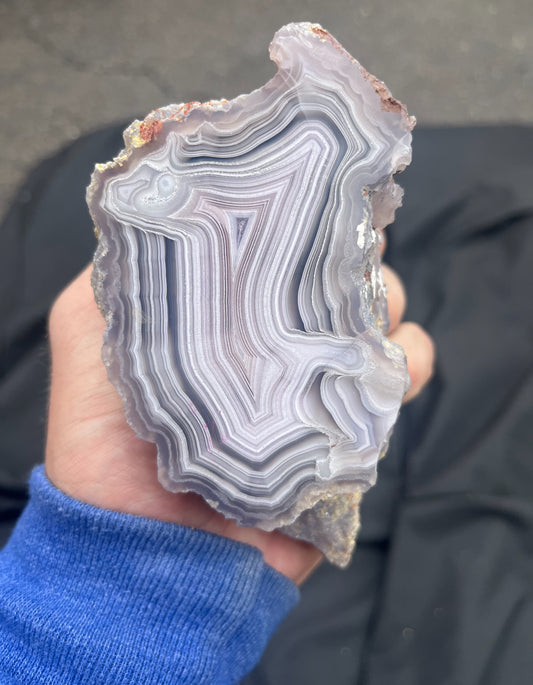 Laguna Agate (from TheGemGuy collection)