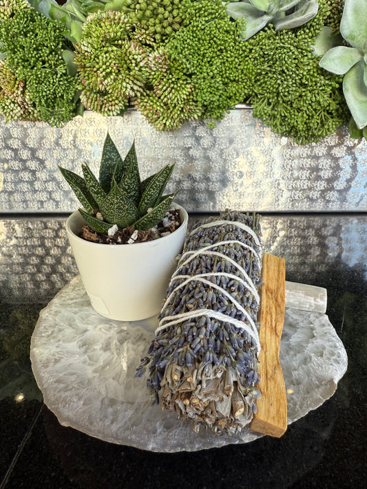 Elegant Home Design 5 - Smudge Kit (E)