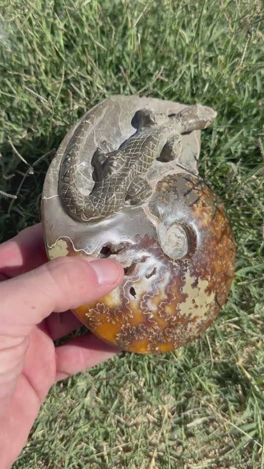 Instagram Story Showcase 04 - Lizard Carving on Ammonite
