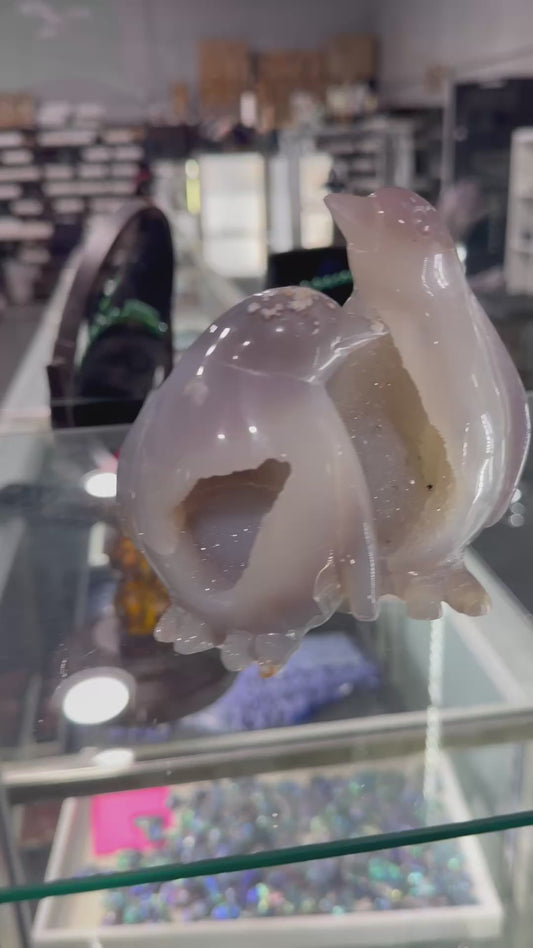 Instagram Story Showcase 11 - Druzy Agate Penguins